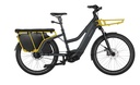 Riese & Müller Multicharger2 Mixte GT family F01183_040214070608