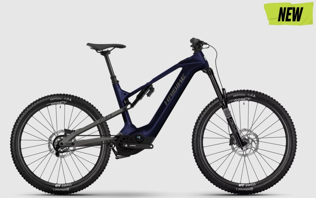 Haibike AllMtn CF 10 TRN/IQ