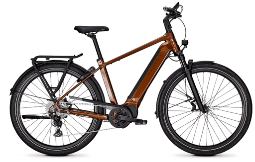 Kalkhoff Endeavour 5.B Advance+