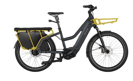 Riese & Müller Multicharger2 Mixte GT family F01183_040214070608
