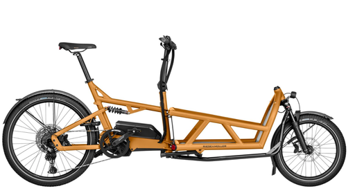 Riese & Müller Load4 60 touring 