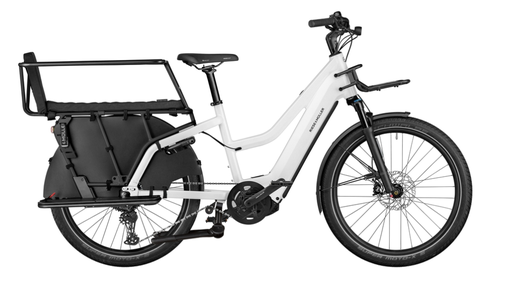 Riese & Müller Multicharger2 Mixte GT family  F01183_040314070608