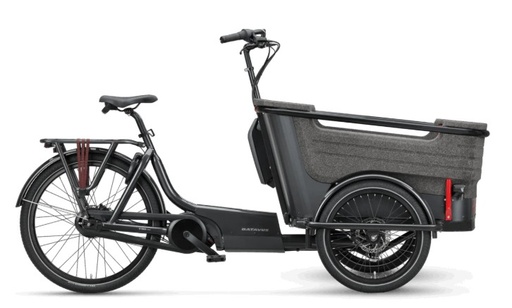 Batavus Fier 3 E-Lastenrad Dreirad smoking black – Bosch 500 Wh