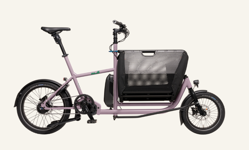 muli Motor st purple breeze