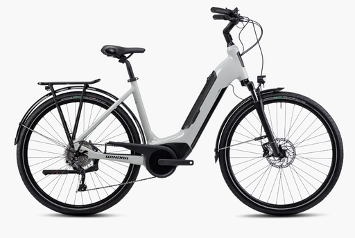 Winora Tria 10